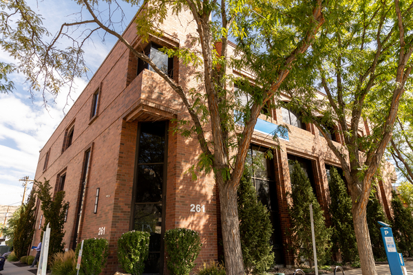 segolily collective building