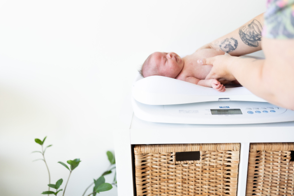 2023_motherfed_segolilycollective_92